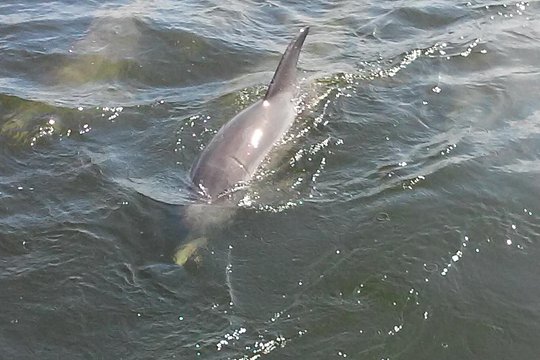 Tour image 5