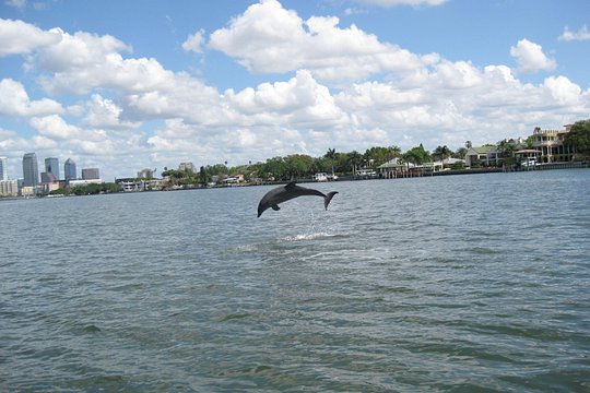 Tour image 6