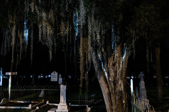 Tour image 11